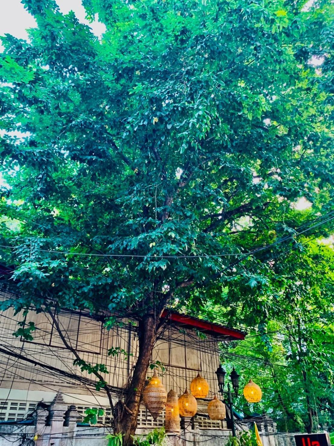Easy Sunday Khaosan Bangkok Hotel Exterior photo